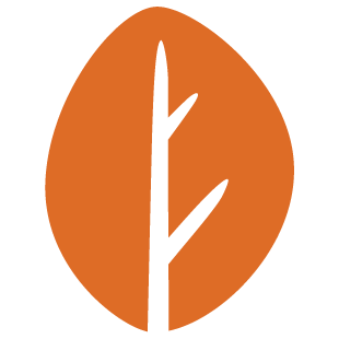 funteamzone.com favicon